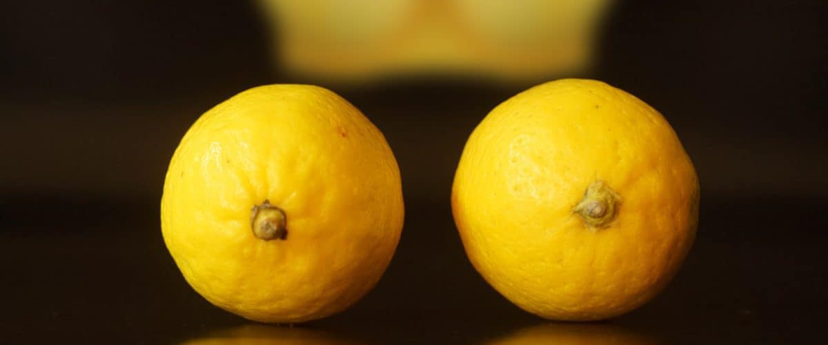lemon-yellow-bra-background-nipple-clamps-representation